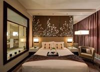 Renaissance Downtown Hotel, Hotel